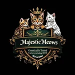 Majestic Kittens UK